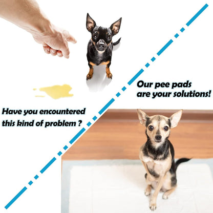 Rabbit Pee Pads Bunny Toilet/Potty Training Pad Super Absorbent Cage Liner | Squirrel Guinea Pig Hedgehog Hamster Chinchilla Puppy Incontinence Underpads Ultra Absorbent & Quick-Dry, 13"X18" 20 Pcs5