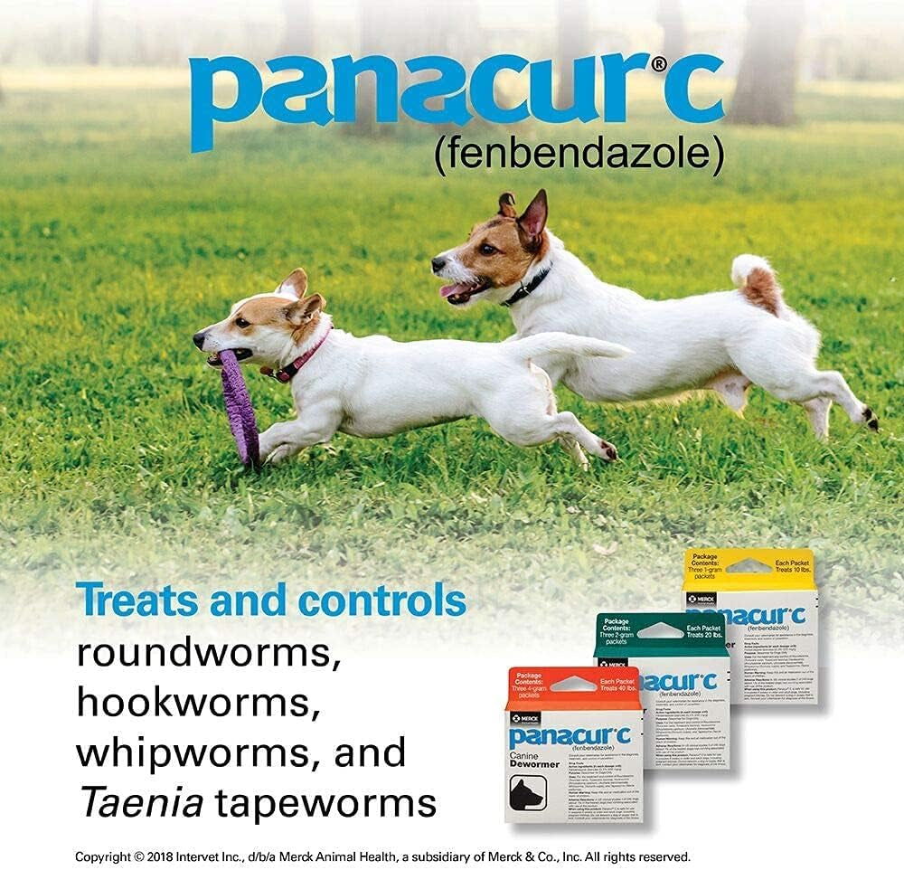 panacur-c-canine-dewormer-dogs-1-3-packets-gram-each-packet-treats-10-lbs-fivе-расk-yellow