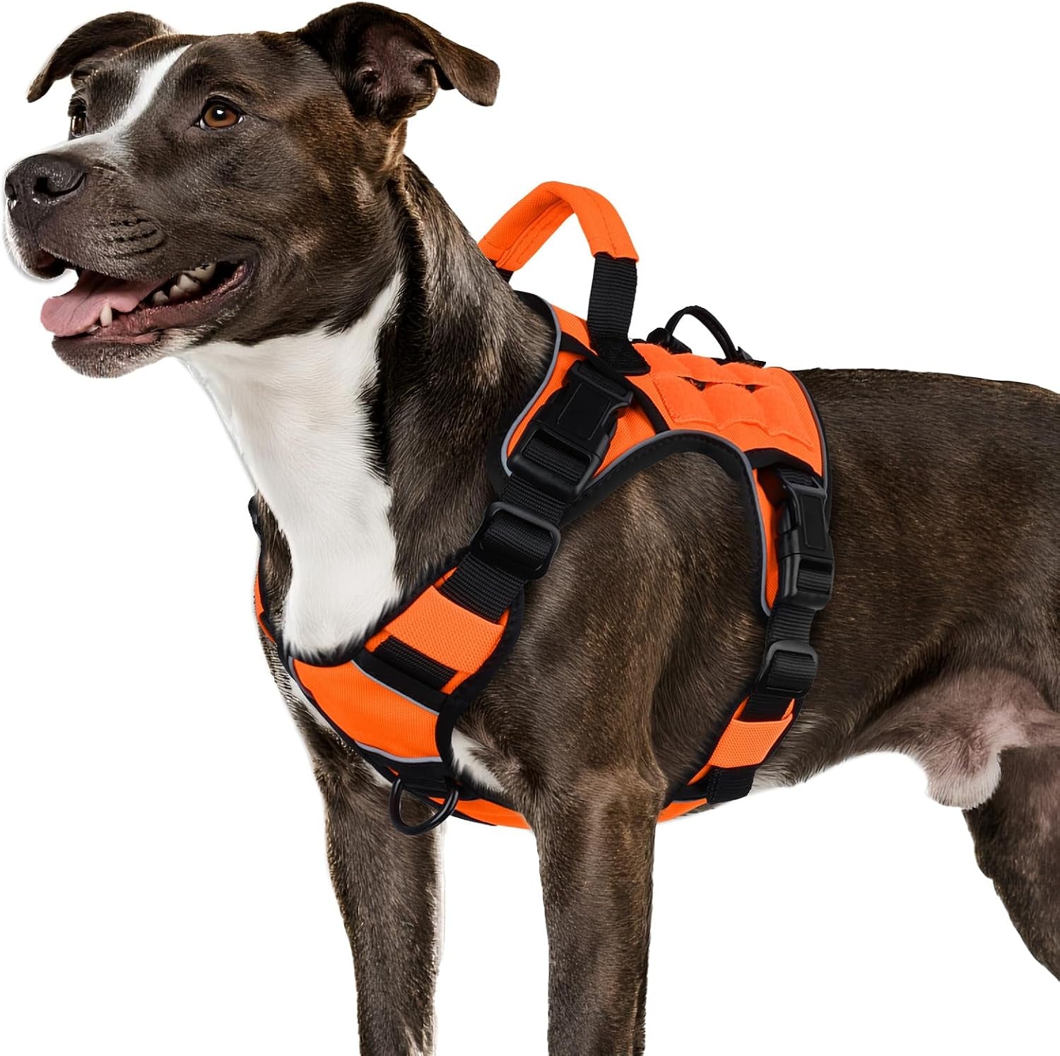 wingoin-tactical-dog-harness-for-large-dogs-heavy-duty-no-pull-dog-harness-with-handle-adjustable-reflective-military-k9-german-shepherd-big-size-dog-vest-for-walking-training-hunting-green-l-with-handle-adjustable-reflective-green-military-k9-style-big-size-dog-vest-for-german-shepherd-for-walking-training-hunting