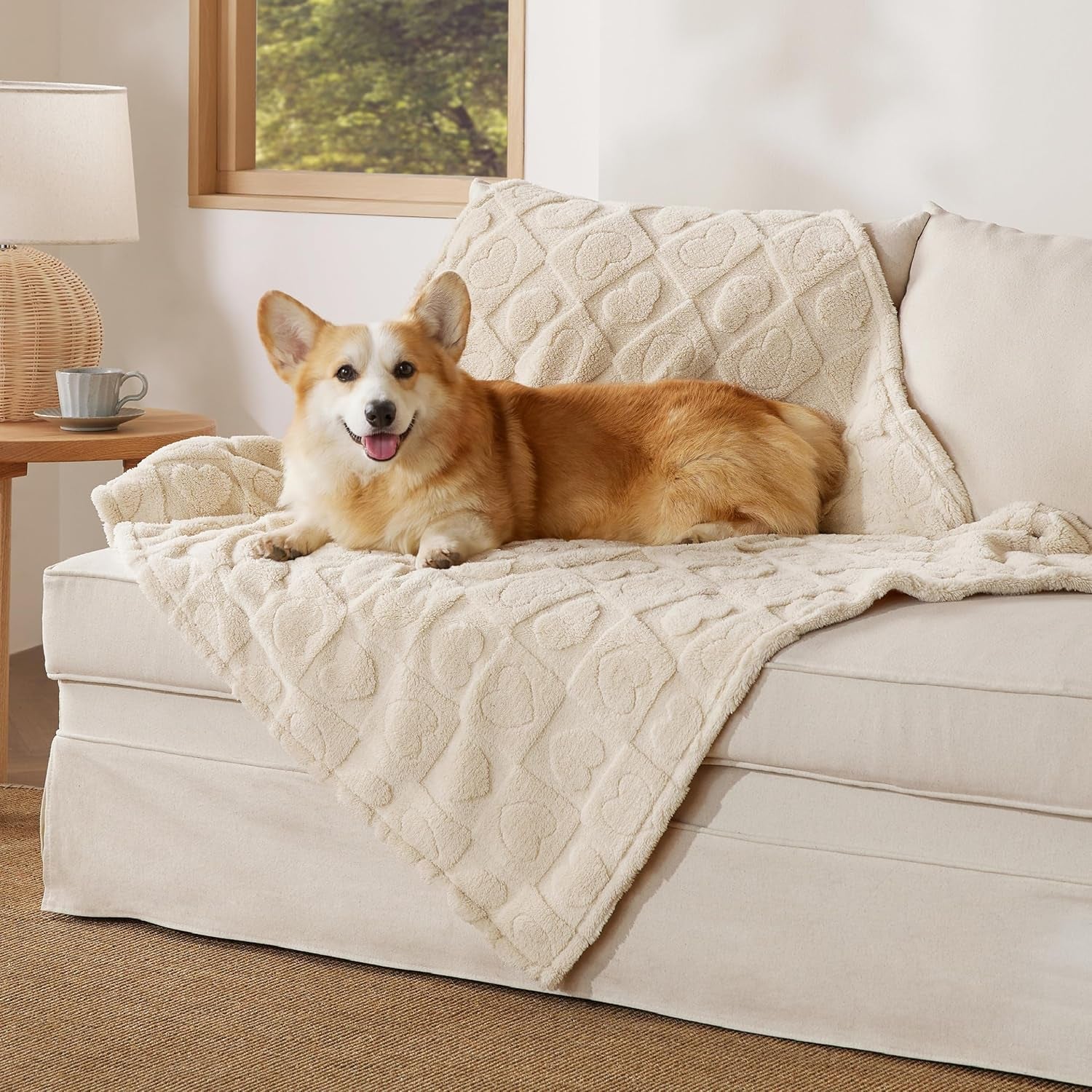 bedsure-dog-blanket-for-small-dogs-puppy-cats-with-soft-fleece-25x35-white-300gsm-fuzzy-jacquard-doggy-kitten-blanket-washable-for-crate-cage-pet-bed-indoor-cats-puppy-essentials-cute-dog-gift