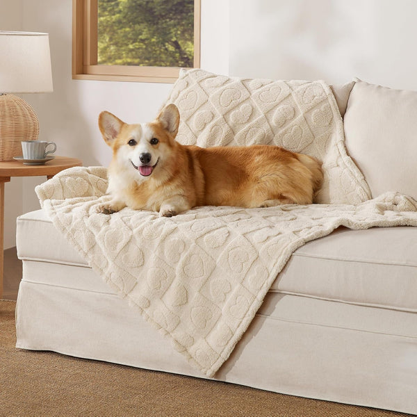 Bedsure Dog Blanket for Small Dogs Puppy Cats with Soft Fleece 25X35 White | 300GSM Fuzzy Jacquard Doggy Kitten Blanket Washable for Crate Cage, Pet Bed, Indoor Cats, Puppy Essentials, Cute Dog Gift21