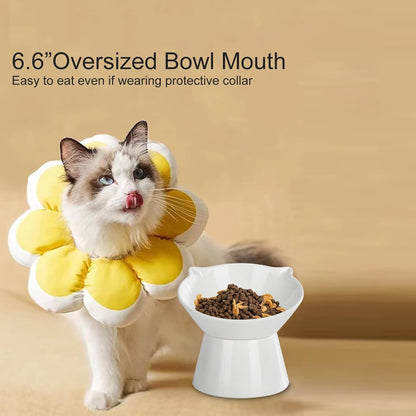 Detachable Elevated Cat Bowls, 15° Tilted Raised Cat Food Bowl Anti-Vomiting, Whisker Friendly, Adjustable Pet Cat Dishes for Protecting Spine, Adult Kitten (White)8