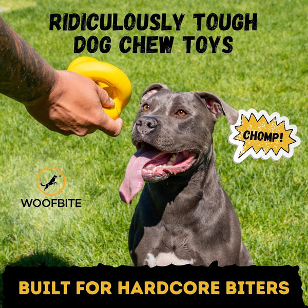 Indestructible Dog Ball - Lifetime Replacement - Durable Dog Toy for Aggressive Chewers - Safe, Non-Toxic Natural Rubber - Chew, Tug & Fetch - Tough, Heavy Duty Chew Toy - 4” (Softball Size)2
