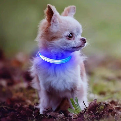 Light up Dog Collar for Small Dogs& Cats, Reflective LED Dog Collar Rechargeable Glowing Puppy Collar Safety Dog Lights for Night Walking (Royal Blue)6