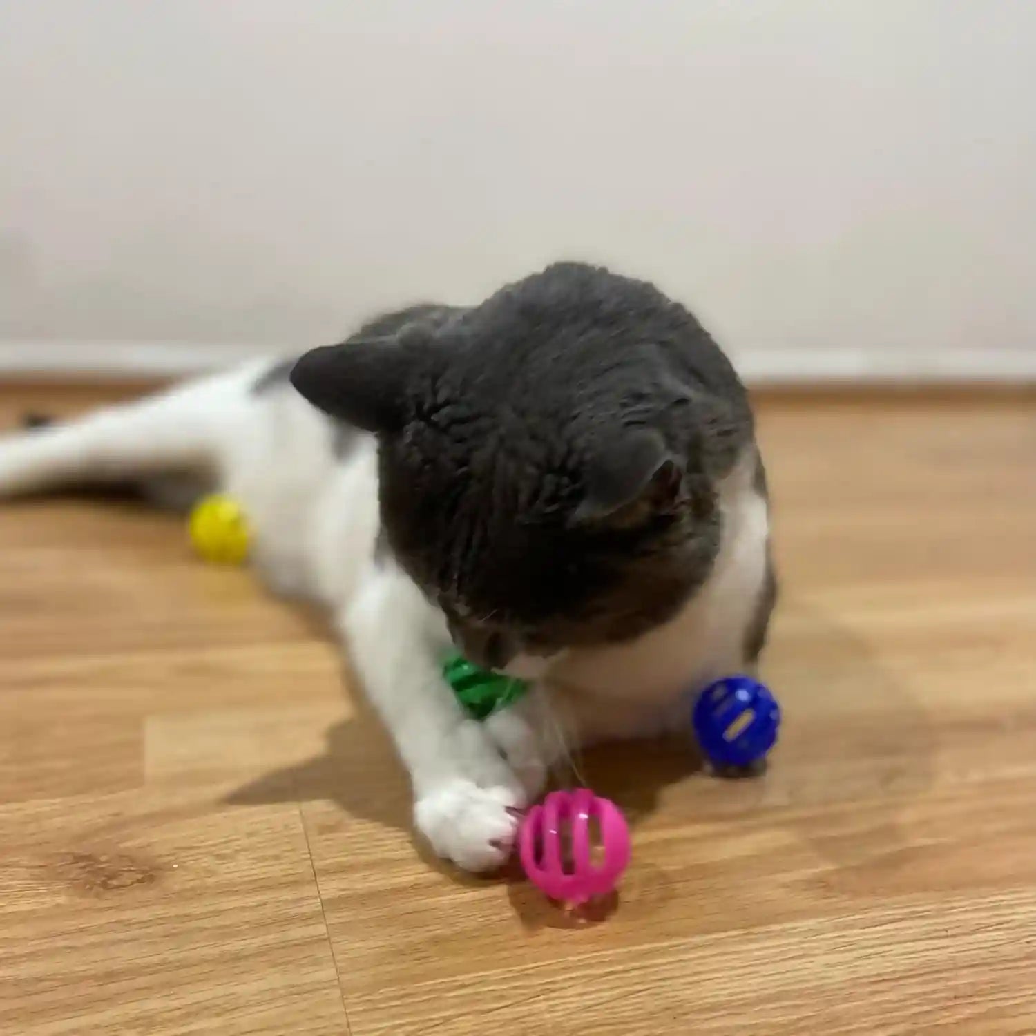 spot-slotted-balls-cat-toy-interactive-cat-toys-for-indoor-cats-to-chase-hunt-and-stimulate-jingle-bell-inside-for-sound-when-batted-around-safe-and-non-toxic-1-5-assorted-4-pack