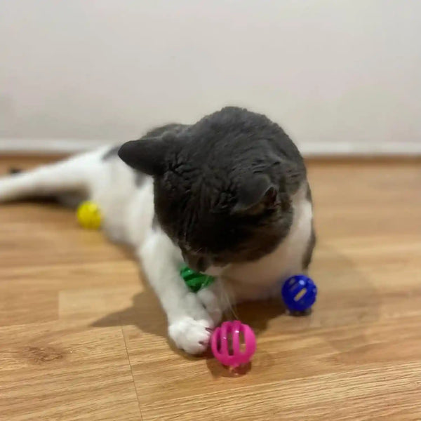 SPOT Slotted Balls Cat Toy - Interactive Cat Toys for Indoor Cats to Chase, Hunt and Stimulate - Jingle Bell inside for Sound When Batted around - Safe and Non-Toxic - 1.5" Assorted 4-Pack6