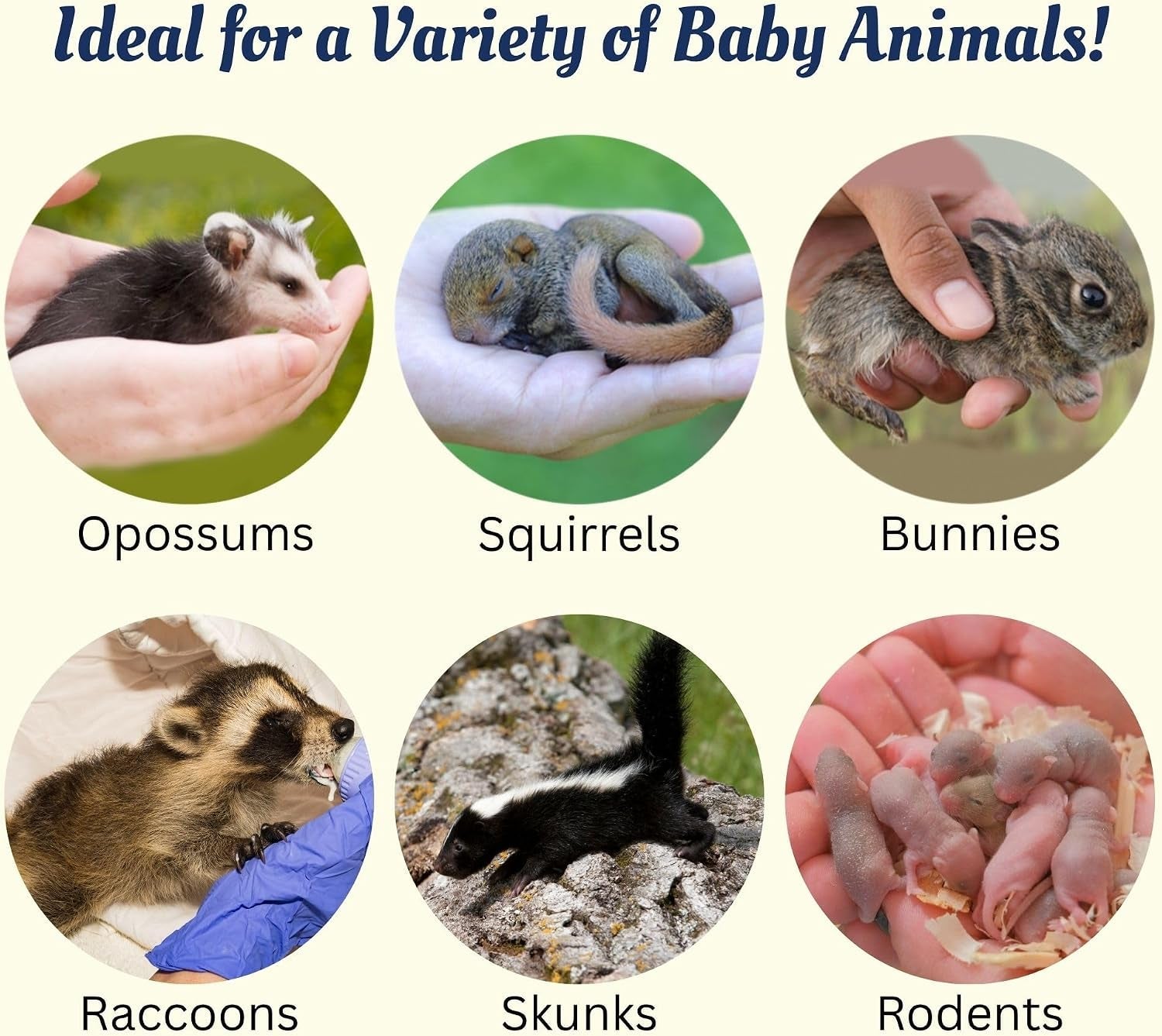 milk-replacer-healthy-powdered-formula-ideal-for-baby-squirrels-rabbits-opossums-raccoons-100-instantized-for-mixing-digestible-proteins-8-8oz-specialty-milk-replacer-8-8-oz