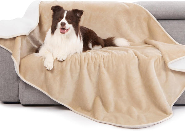 Gogobunny Waterproof Bed Blanket, Reversible Sherpa Fleece Throw Blanket for Dog Puppy Cat, Furniture Cover Protects Bed Couch Sofa from Liquid Pee and Pet Fur (Dark Purple, 50X60 Inches)15