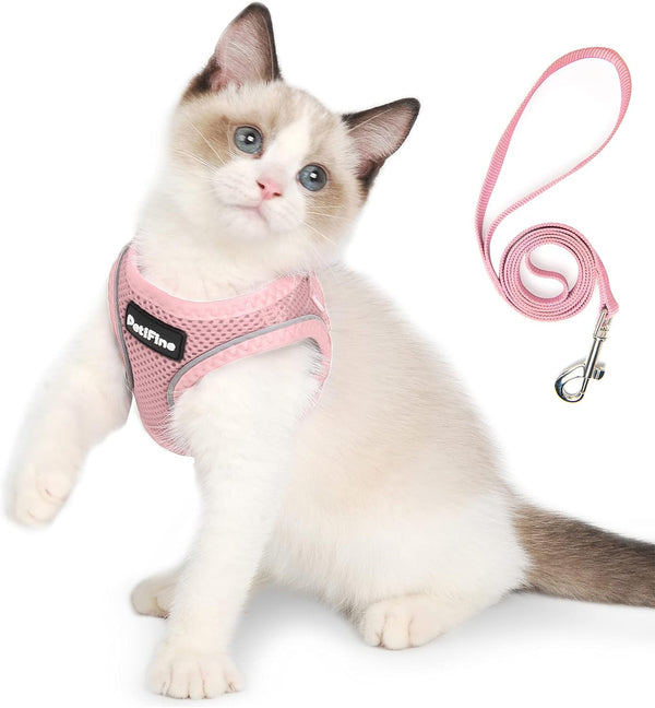 Small Dog Harness and Leash Set Breathable Step-In Puppy Cat Harness,Xs | Reflective for Safe Easy Walking,Soft Light Puppy Vest,Escape Proof,No Pull Harness for Dogs,All Weather Air Mesh Harness20