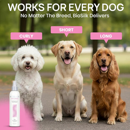 Biosilk for Dogs Silk Therapy Detangling and Shine Protecting Spray, Ph Balanced Leave-In Mist with Silk and Vitamins for Dematting, Paraben-Free, All Coats and Breeds, 8 Fl Oz | Ph-Balanced, Paraben-Free Leave-In Mist with Silk and Vitamins; Dematting Spray for All Coats and Breeds4