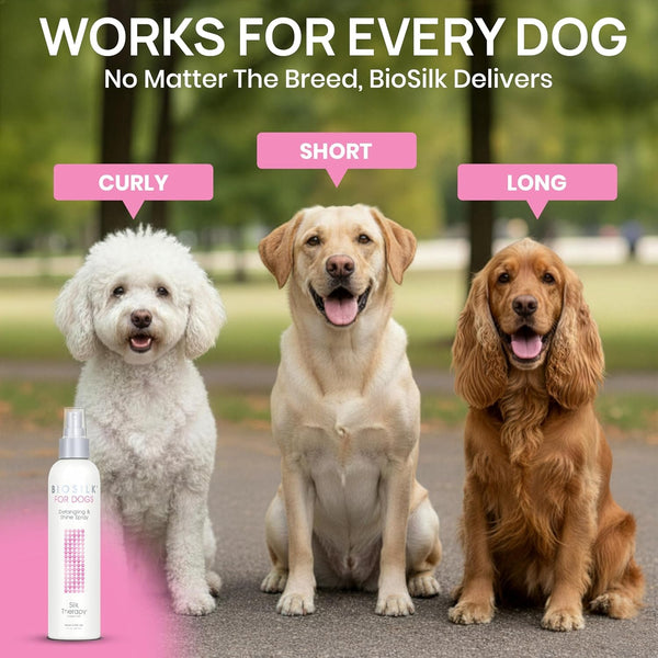 Biosilk for Dogs Silk Therapy Detangling and Shine Protecting Spray, Ph Balanced Leave-In Mist with Silk and Vitamins for Dematting, Paraben-Free, All Coats and Breeds, 8 Fl Oz | Ph-Balanced, Paraben-Free Leave-In Mist with Silk and Vitamins; Dematting Spray for All Coats and Breeds4