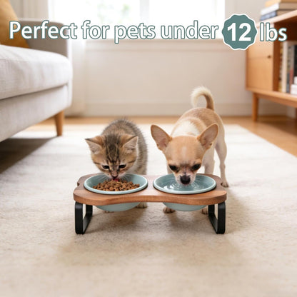 SPUNKYJUNKY Ceramic Elevated Tilted Dog Bowls Bone-Shaped Raised with 2 Height Iron Stand, 4.9'' Dog and Cat Food Water Bowls Set Non-Slip for Puppy Kitten Small Sized Breed - 7 Oz,Light Green7
