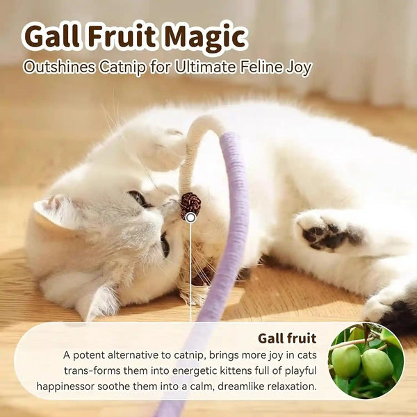 Interactive Cat Toys for Indoor Cats, 3 Chew Ropes 1 Silvervine Stick | with Gall Fruit, Refillable Catnip, Interactive Kitten Toys & Teething Toys, Safe Teeth Cleaning for All Breeds (19.5 Inches)4