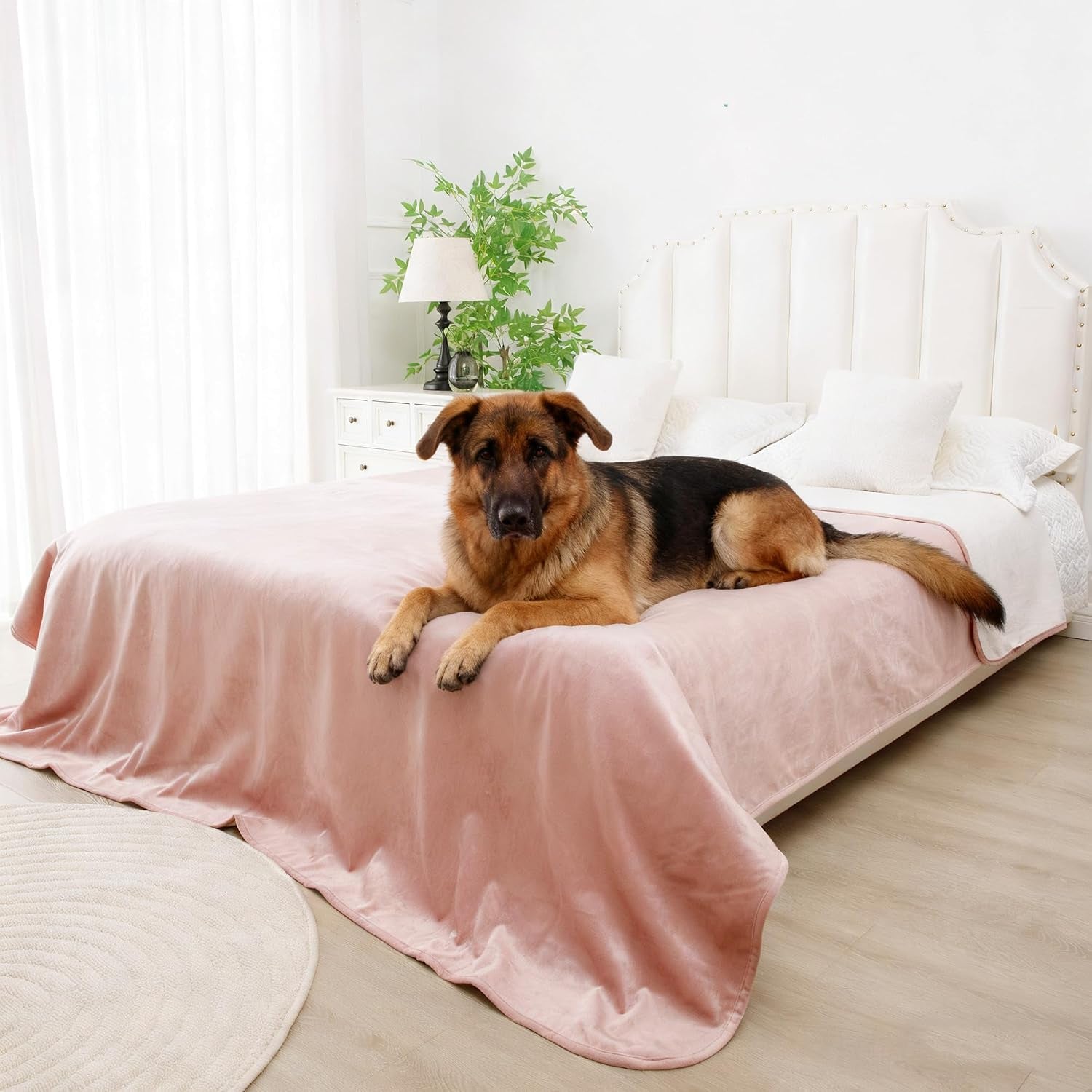 waterproof-blanket-for-dogs-reversible-furniture-protector-tpu-leak-proof-liner-soft-velvet-flannel-pet-throw-machine-washable-for-couch-and-bed-52-x-82-beige-khaki