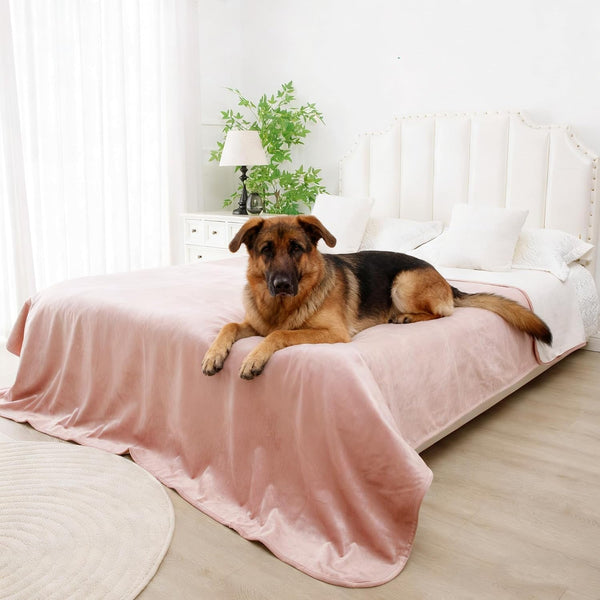 Waterproof Blanket for Dogs - Reversible Furniture Protector | TPU Leak-Proof Liner, Soft Velvet & Flannel Pet Throw, Machine Washable, for Couch and Bed, 52" X 82", Beige/Khaki12