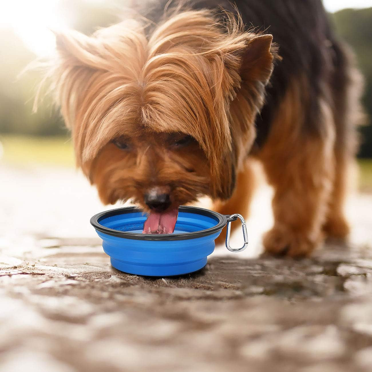 kytely-large-collapsible-dog-bowls-2-pack-34oz-foldable-dog-travel-bowl-portable-pet-water-food-bowl-with-clasp-pet-cat-feeding-cup-dish-for-traveling-walking-hiking-black-blue