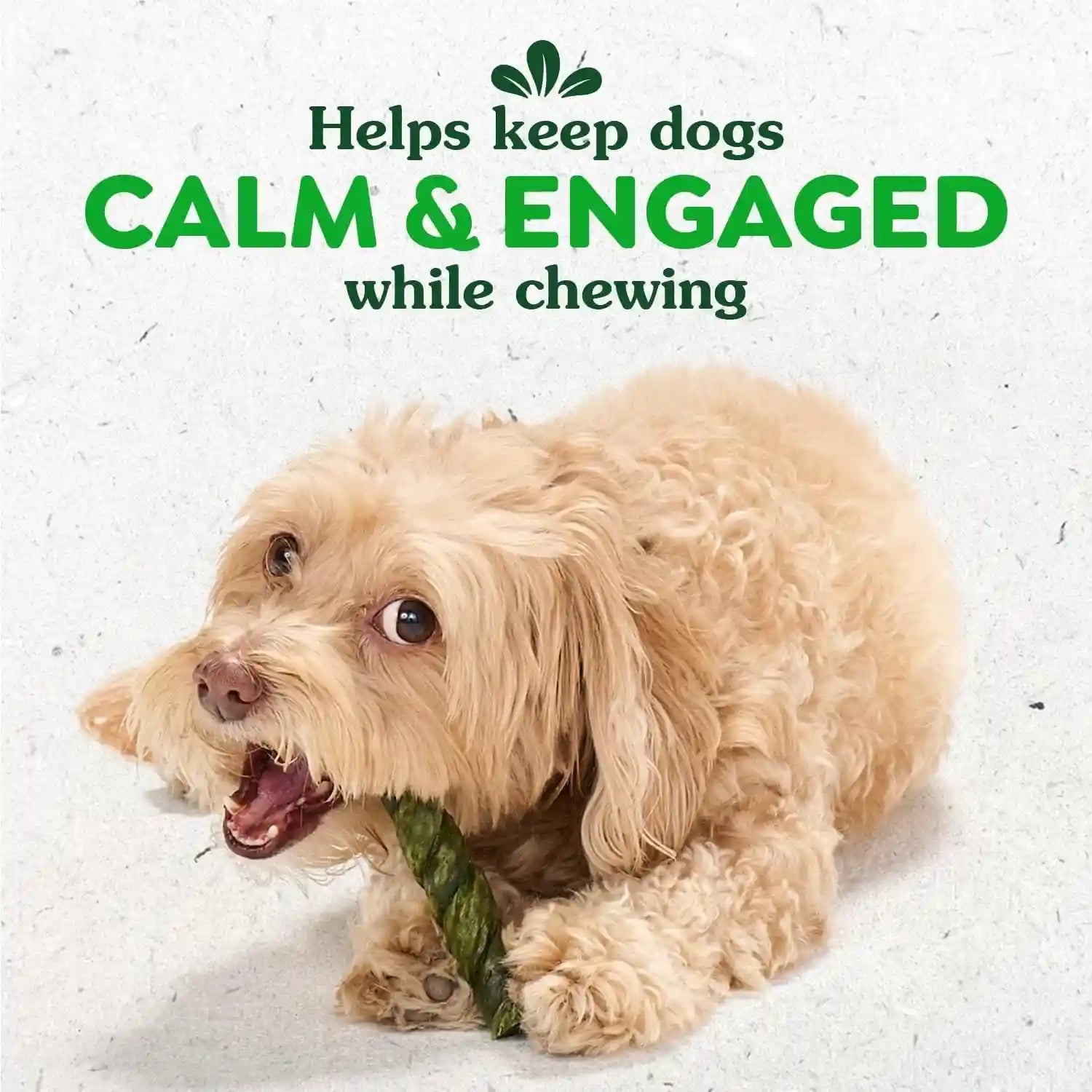 greenies-occupy-twists-petite-breed-dog-treats-chicken-flavor-10-count-for-dogs-15-25-lbs-rawhide-free-promotes-calmness-helps-clean-teeth-reduces-plaque-highly-digestible-8-75-oz