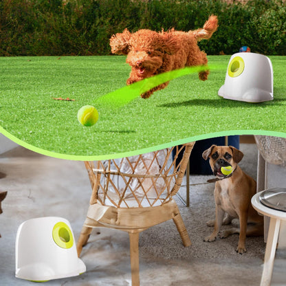 ALL for PAWS Automatic Dog Ball Launcher, Interactive Fetch Toy for Small to Medium Dogs, Pet Thrower Machine for Indoor & Outdoor Play, 3 Pcs 2-Inch Balls Included2