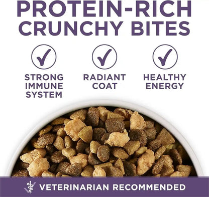 Purina ONE High Protein Dry Senior Dog Food plus Vibrant Maturity Adult 7 plus Formula - 8 Lb. Bag7