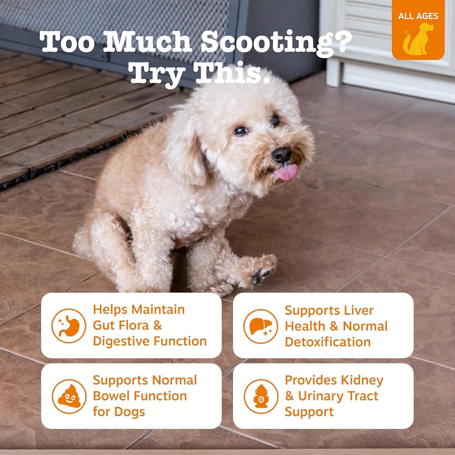 zesty-paws-scoot-away-soft-chews-healthy-bowel-function-with-bromelain-vita-fiber-for-dogs-dandelion-root-for-dog-digestive-support-and-gut-health-90-soft-chews