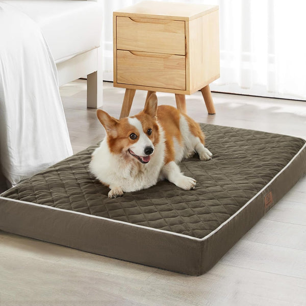 WNPETHOME Orthopedic Waterproof Extra Large Senior Dogs Bed for Comfy Sleeping with Removable Washable Cover, Multi-Needle Quilting XL Crate Bed for Large Sized Dog Relax, Light Grey12