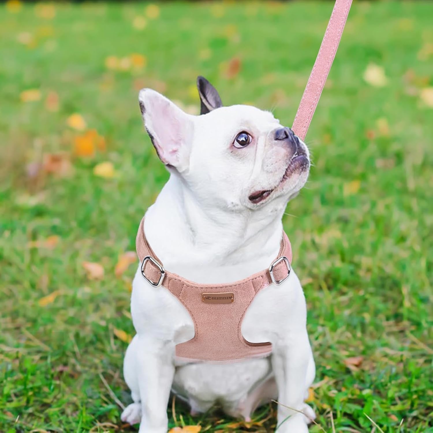dog-harness-and-leash-set-xxs-no-pull-adjustable-puppy-harness-with-multifunction-pink-dog-leash-and-dog-collar-soft-no-choke-escape-proof-pet-harness-vest-for-small-dogs-and-cats-pink-s