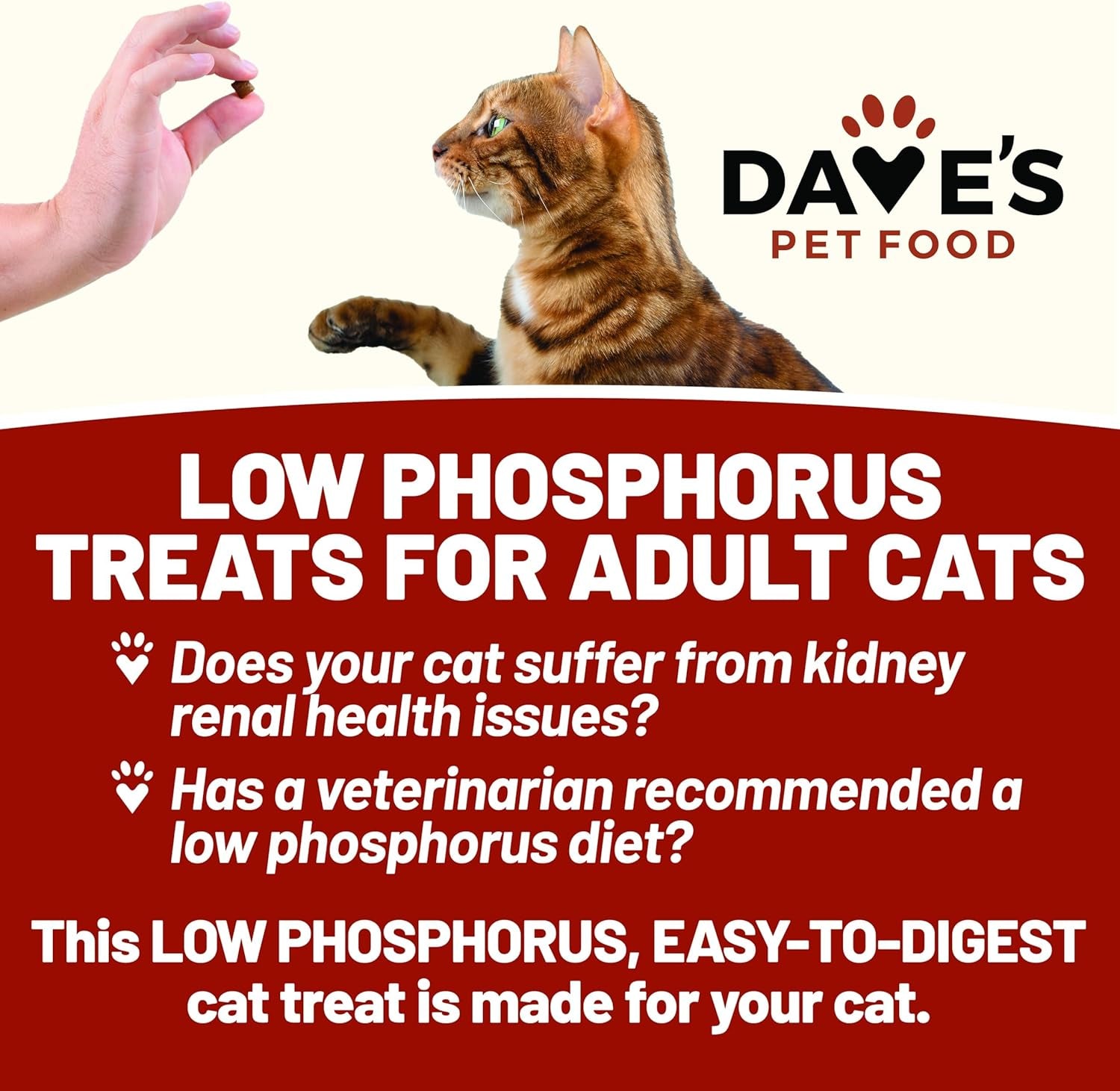 daves-pet-food-renal-cat-treats-for-cat-kidney-support-new-recipe-semi-moist-healthy-treats-with-kidney-support-for-cats-made-in-usa-2-pack