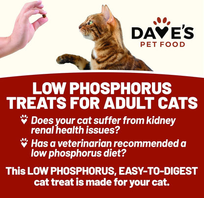 Dave'S Pet Food Renal Cat Treats for Cat Kidney Support, (NEW Recipe!) Semi-Moist Healthy Treats with Kidney Support for Cats, Made in USA (2 Pack)4