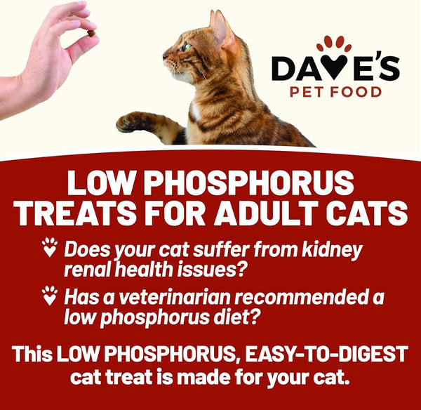 Dave'S Pet Food Renal Cat Treats for Cat Kidney Support, (NEW Recipe!) Semi-Moist Healthy Treats with Kidney Support for Cats, Made in USA (2 Pack)4