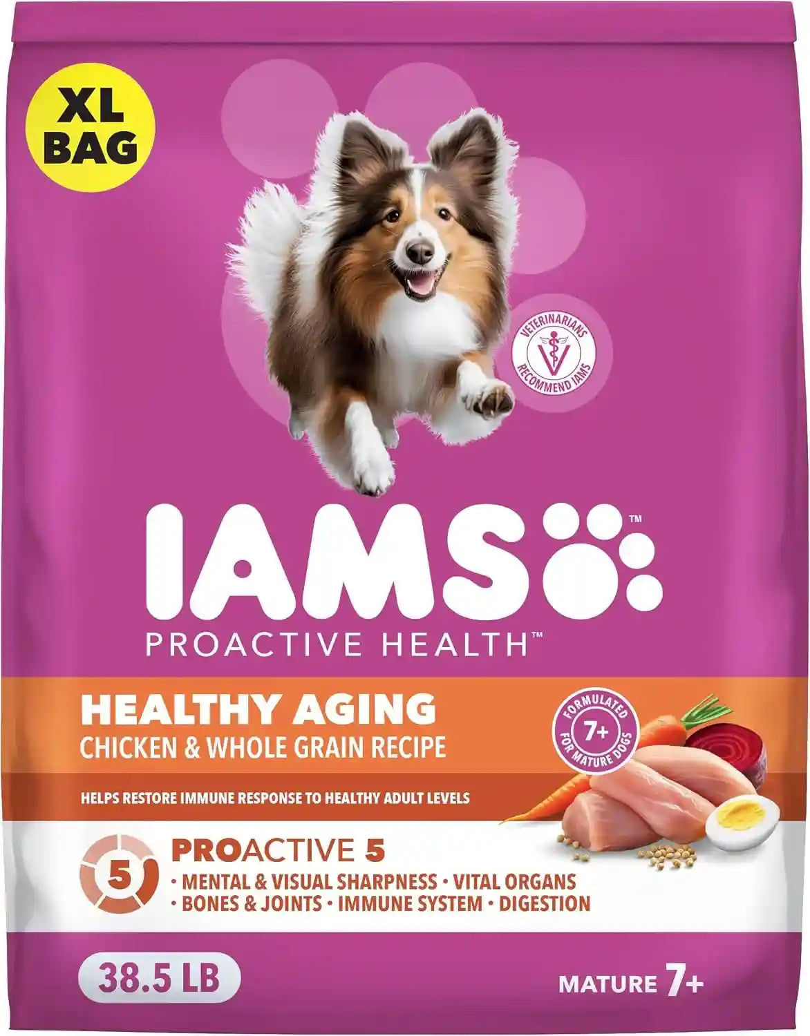 iams-proactive-health-healthy-aging-dry-dog-food-chicken-29-1-lb-veterinarian-recommended-dha-gold-for-mental-visual-sharpness-vitamin-e-beta-carotene-real-chicken-1-ingredient