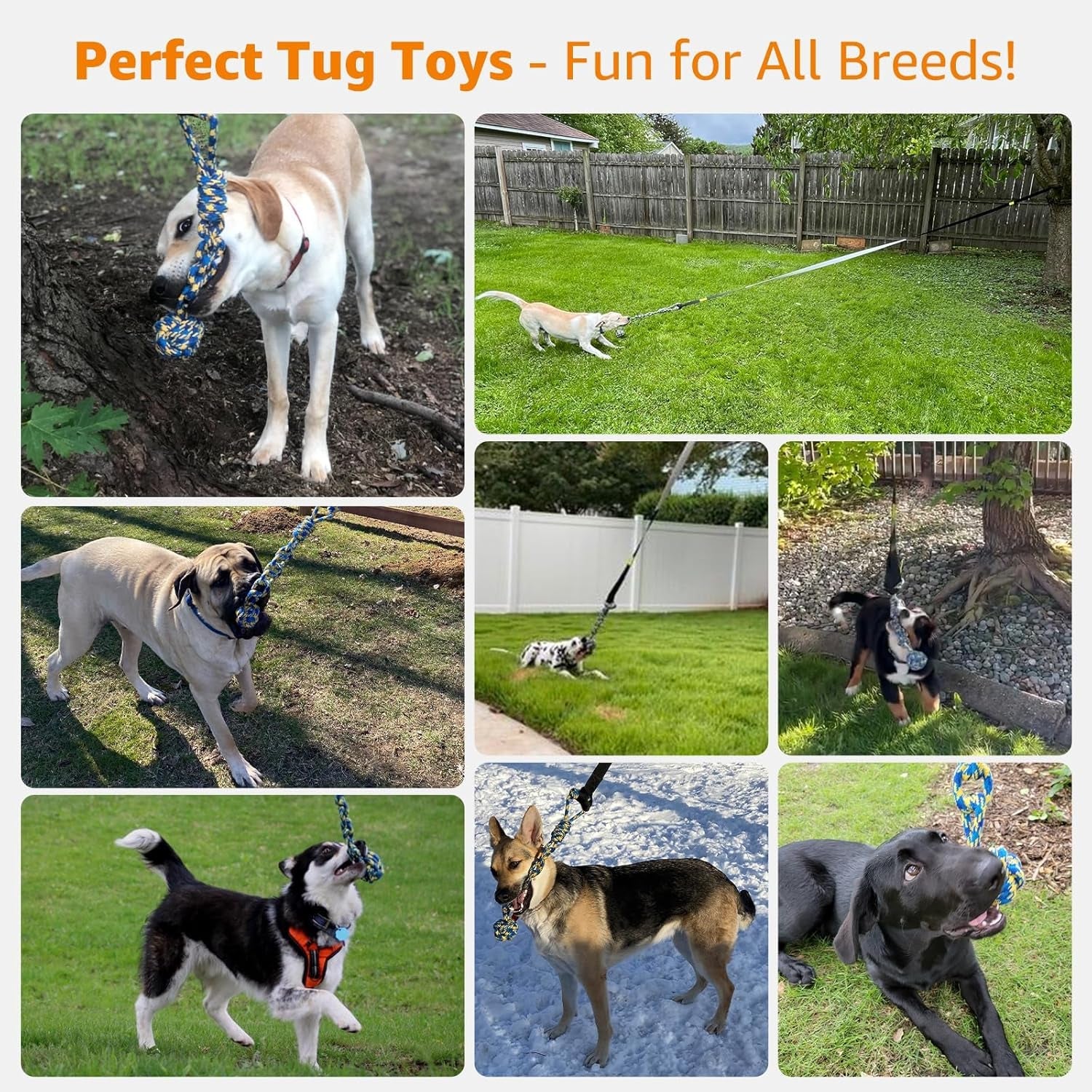 loobani-outdoor-bungee-tug-toy-interactive-tree-hanging-dog-toys-black-durable-tug-of-war-exercise-play-cord-tether-chew-rope-toy-muscle-building-bite-training-for-small-to-large-dogs