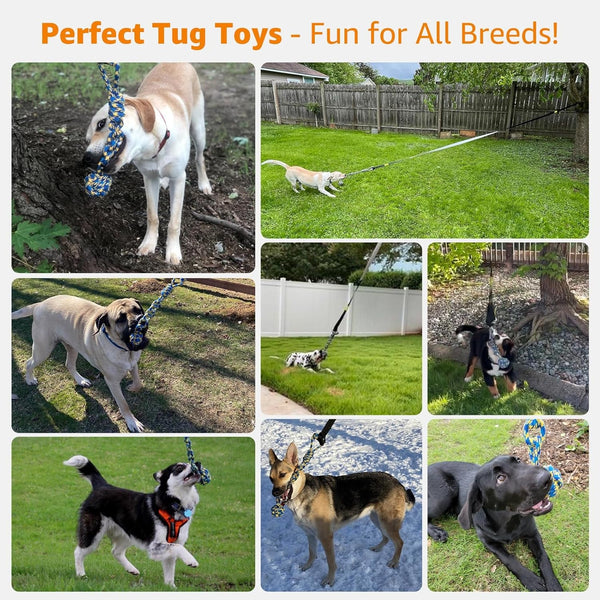 LOOBANI Outdoor Bungee Tug Toy, Interactive Tree Hanging Dog Toys, Black | Durable, Tug of War, Exercise Play Cord & Tether, Chew Rope Toy, Muscle Building & Bite Training, for Small to Large Dogs7