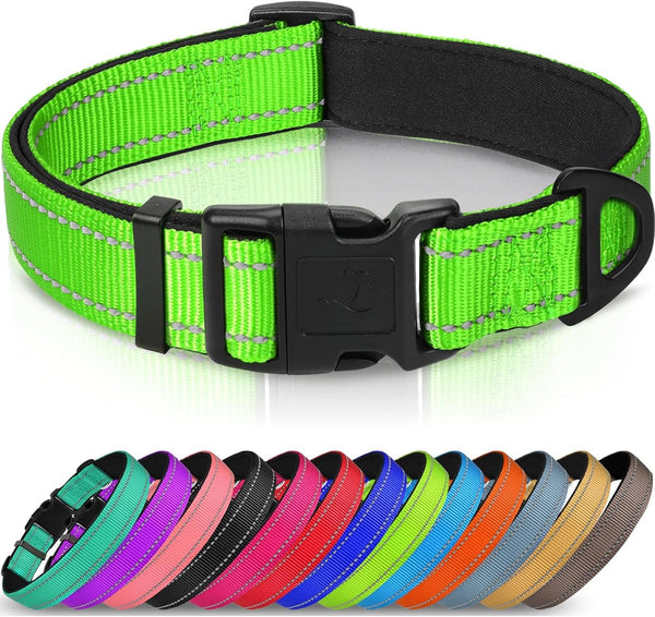 Joytale Reflective Dog Collar, Adjustable Neoprene Padded, Teal L | Breathable Nylon for Large Dogs, No Chafing on Walks and Outdoor Hikes, Tear-Resistant Webbing, Metal D-Ring, Night Safety19