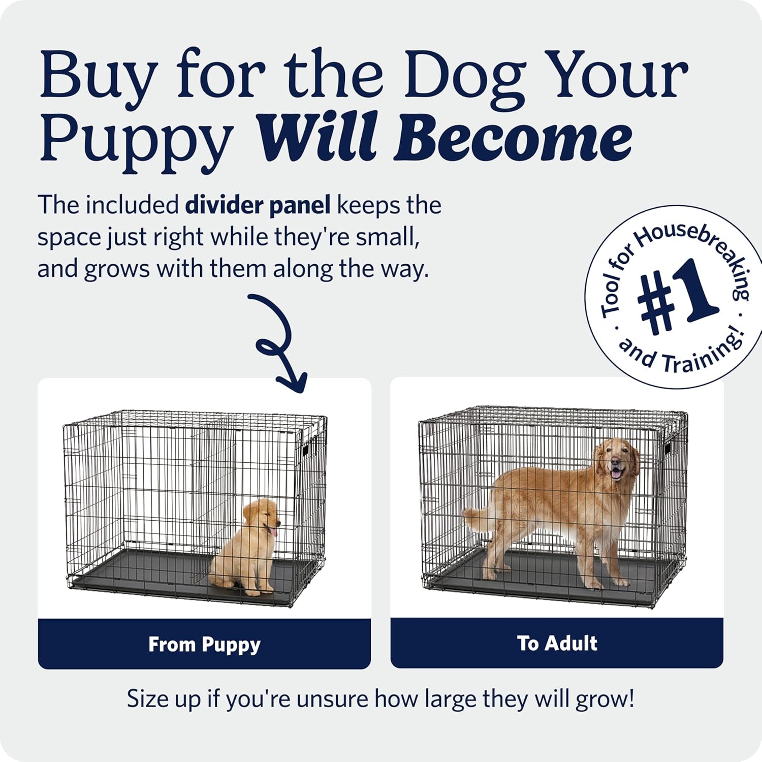 midwest-homes-for-pets-30-inch-icrate-for-medium-breeds-21-40-lbs-single-door-folding-dog-crate-with-divider-panel-leak-proof-tray-secure-latch-portable-durable-easy-to-assemble