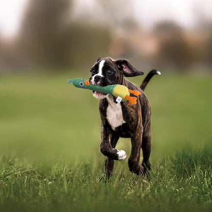Nocciola 2 in 1 Easter Duck Dog Toy with a Large Rubber Squeaker - Tough Durable Stuffed Squeaky Crinkle Chew Toys for Aggressive Chewers, Medium and Large Breeds3