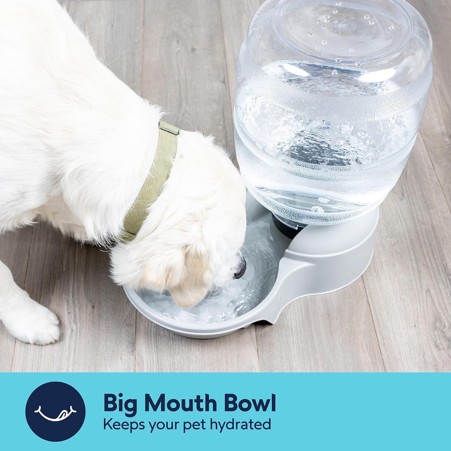 petmate-aspen-pet-lebistro-cat-and-dog-water-dispenser-made-in-usa
