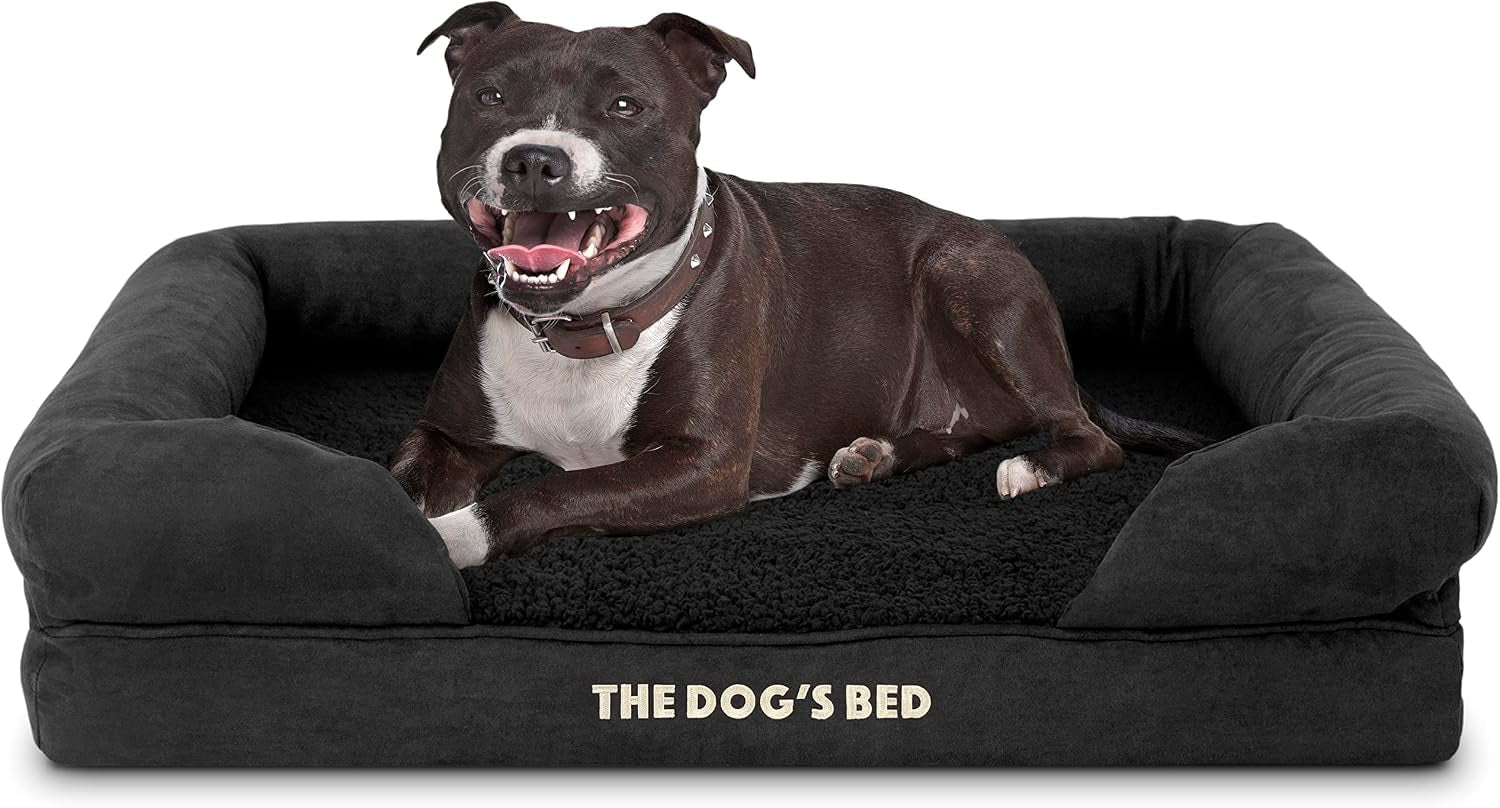 the-dog-s-bed-orthopedic-memory-foam-dog-bed-with-bolsters-for-large-dogs-high-density-support-mattress-low-front-entry-removable-washable-cover-oxford-fabric-blue-with-dark-red-trim-large