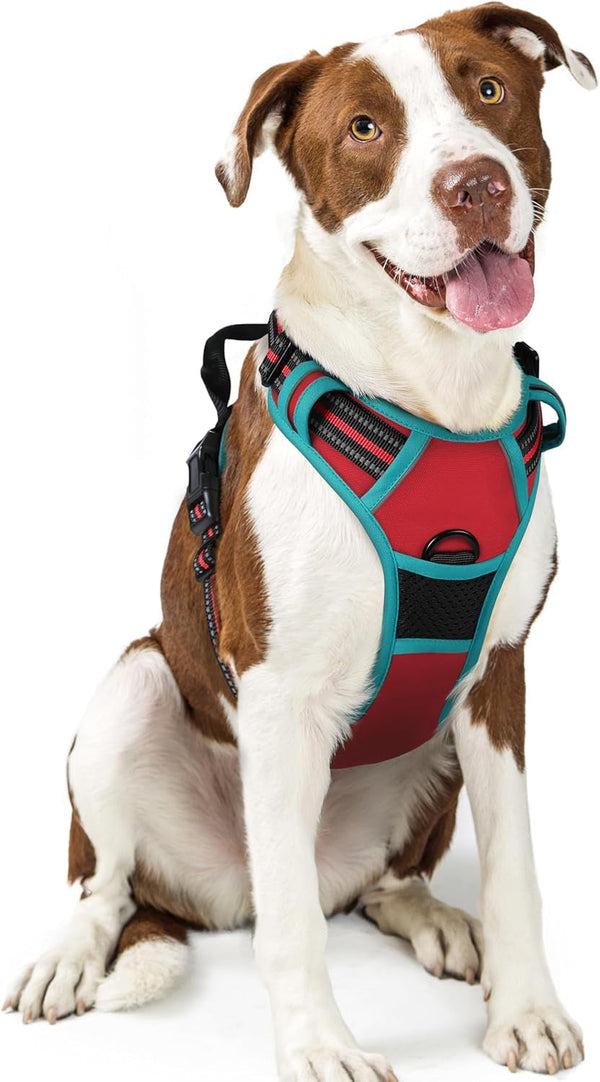 Rabbitgoo Dog Harness, No Pull for Large Dogs with 2 Leash Clips, Pet Vest | No Choke with Handle, Adjustable Soft Padded, Reflective, Easy Control for Walking, Black, Large32