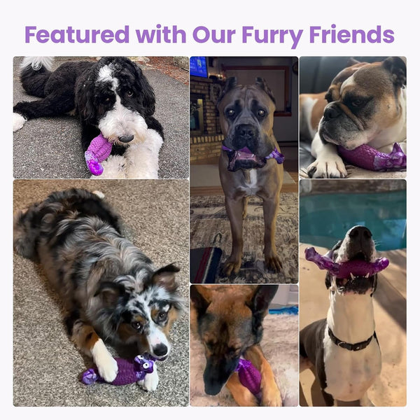 HGB Tough Dog Chew Toys for Aggressive Chewers, Squeaky Indestructible Dog Toy for Large Dogs to Keep Them Busy & Reduce Boredom for Small, Medium, Large Breed, Bacon Flavor7