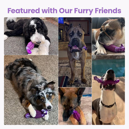 HGB Tough Dog Toys for Aggressive Chewers, Squeaky Indestructible Chew Toy | Alligator Dog Toy for Medium & Large Dogs, Hard Nylon & Natural Rubber, Teeth Cleaning Texture, Bacon Flavor, Keeps Dogs Busy7
