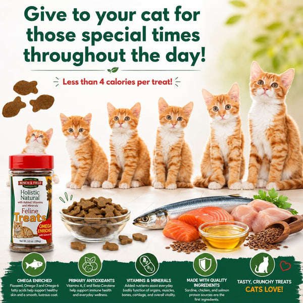 Bench & Field Holistic Natural Healthy Kitty Cat Treats | Crunchy Fish-Shaped Bites | Delicious Seafood Flavored Snack, 3-Ounce (Pack of 3 Bottles)8