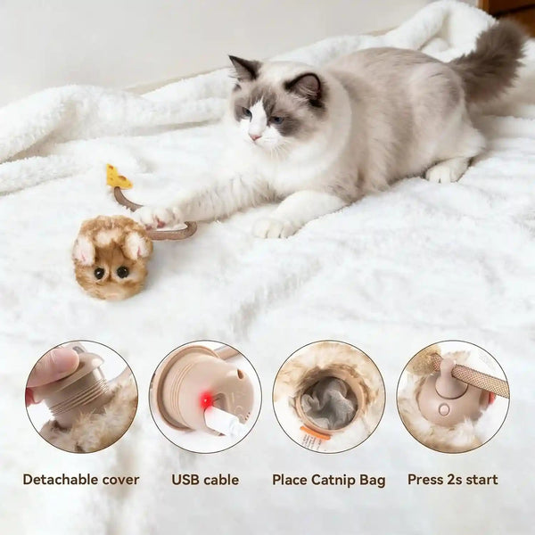Migipaws Interactive Migimouse Cat Toy 360° Rolling & Spin with Mesh Plastic Tail for Indoor Cats Smart Motion Sensor, Realistic Squeak, Rechargeable Plush Kitten Toy(Brown Long)6