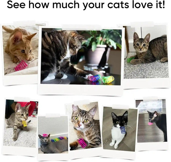 Cat Toys for Indoor Cats, 30 Pack Interactive Cat Spring Toys, Durable Colorful Plastic Spiral Springs for Kitten Hunt, Swat and Bite, Bulk Cat Toys5