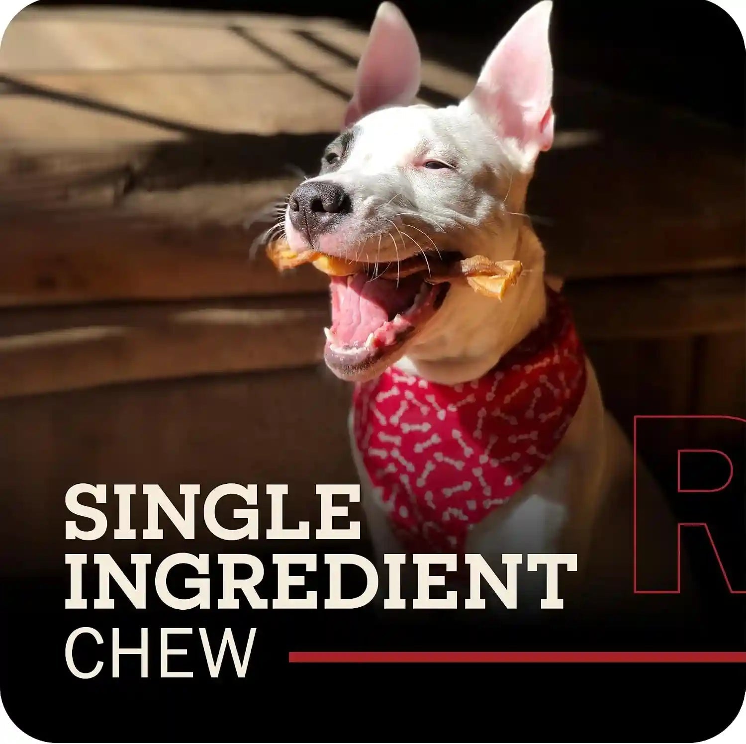 redbarn-pet-products-all-natural-5-8-braided-bully-sticks-for-small-large-dogs-healthy-long-lasting-beef-chews-variety-party-pack-single-ingredient-low-odor-rawhide-free-8-oz-bag