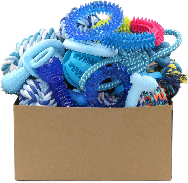 Beiker 20 Pack Puppy Chew Toys - Blue Dog Teething Toys for Puppies, Puppy Teething Rings and Ropes, Rubber Toy Bundle for Small Dogs, Cute Interactive Dog Balls for Small Breed1