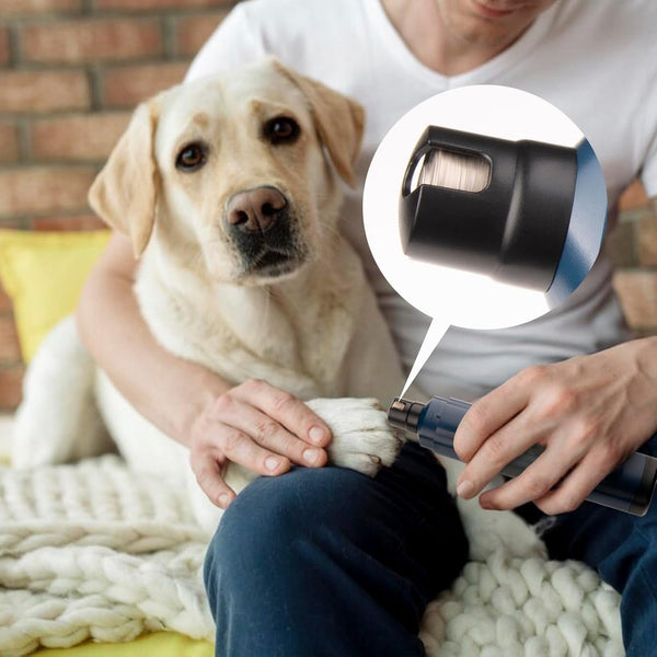 Pet Nail Grinder for Dogs - Quiet 2-Speed Type-C Rechargeable Dog Nail Trimmer, Low Noise Paw Grooming for Dogs & Cats (Blue)7