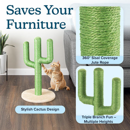 24” Tall Cat Scratching Post - Vertical Cactus Scratch Post for Indoor Cats - 360 Degree Jute Rope-Covered Kitten Scratcher with 3 Branches and Sturdy Base by PETMAKER (Green)3