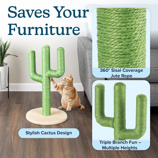 24” Tall Cat Scratching Post - Vertical Cactus Scratch Post for Indoor Cats - 360 Degree Jute Rope-Covered Kitten Scratcher with 3 Branches and Sturdy Base by PETMAKER (Green)3