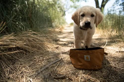 Carhartt Nylon Duck Travel Dog Bowl Carhartt Brown | Packable Dog Bowl for Food and Water, 10 Cup Capacity7