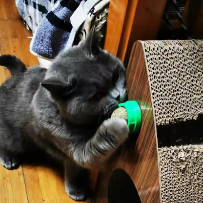 4PCS Catnip Balls for Cats Wall Catnip Toys for Cat Lick Kitten Chew Toys Teeth Cleaning Dental Edible Cat Toys6
